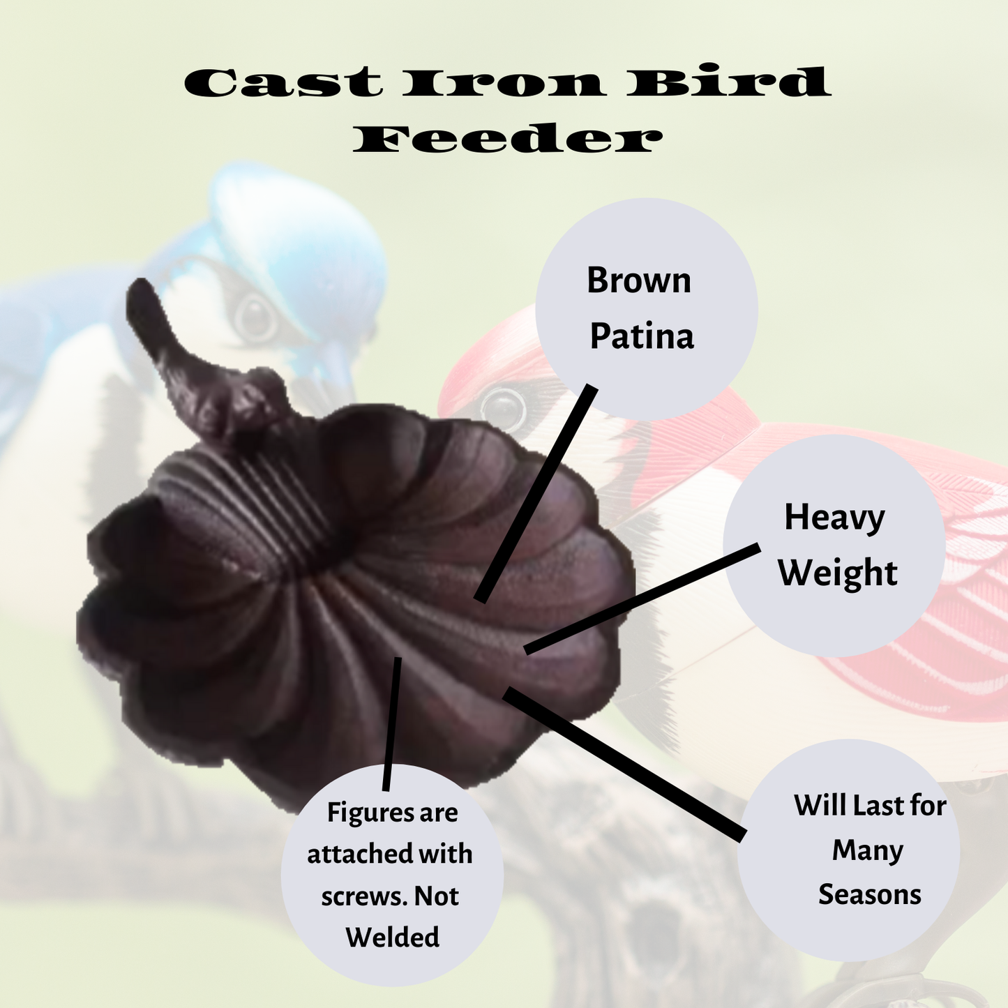 Small Wild Birds Feeder Cast Iron Bird on Scallop Shell & Bed n Breakfast Wooden Birdhouse Outdoor Wildbird Gardening