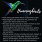 Fire Sale! Hummingbird Feeders Outdoors Hanging 27" Ht Green Glass Nectar Humming Birds Feeder